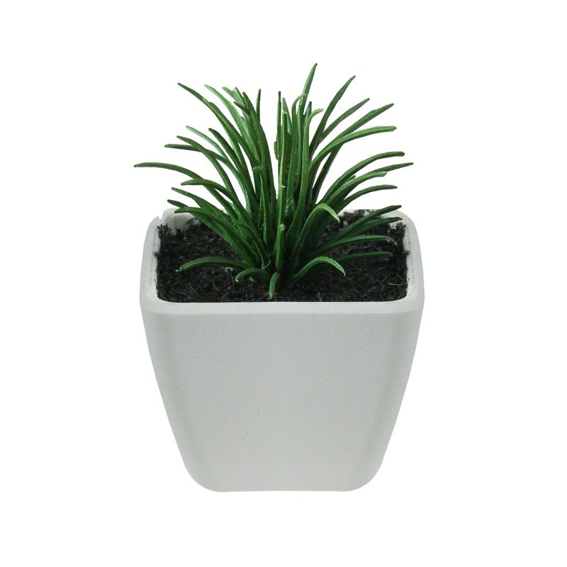 Northlight 3.5" Succulent Artificial Potted Plant Table Top Decoration - Green/White, 1 of 2
