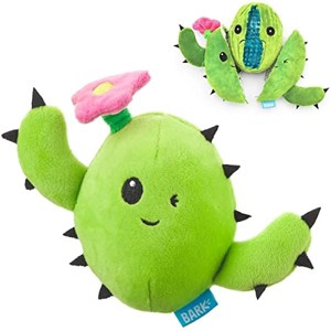 Barkbox 2 in 1 Interactive Plush Dog Toy - Rip and Reveal Toy for Dogs and Puppies - Stimulating Squeaky Pet Toys | Consuela Cactus (Small) - 1 of 1