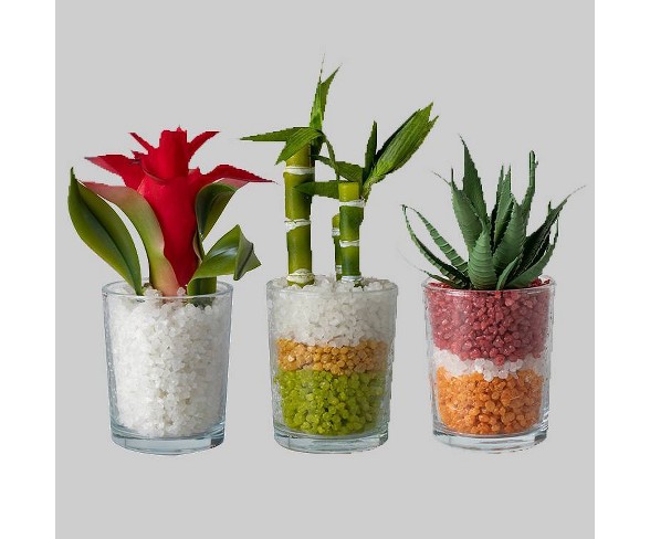 3ct Artificial Succulent - Bullseye's Playground&#153;