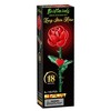 Brickcraft Bricktanicals Long Stem Red Rose 102 Pieces Building Set - 2 of 4