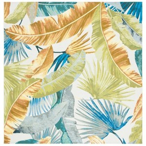 Barbados 500 BAR520 Power Loomed Rug - Safavieh - 1 of 3