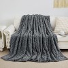 Attop Cozy Soft Lightweight Fuzzy Throw Blanket for Women Portable Throw Blankets for Couch - 2 of 4