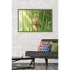 Trends International Fruits Basket - Kyo Soma Framed Wall Poster Prints - 2 of 4