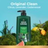Irish Spring Original Clean Body Wash for Men - 30 fl oz Pump - 4 of 4