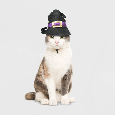 Witch Hat Cat Costume - Hyde & EEK! Boutique™