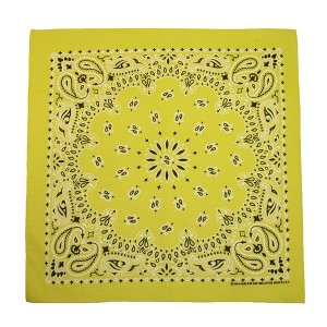 CTM Cotton Neon Paisley Bandanas - 1 of 4