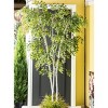 Sullivans Artificial 96" 8' Birch Tree - 2 of 3
