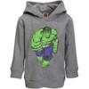 Marvel Spider-Man Fleece Pullover Hoodie Little Kid to Big Kid - 2 of 4