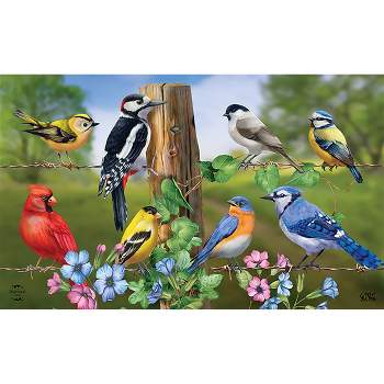 Briarwood Lane Country Birds Spring Doormat Finch Blue Jay Cardinal Indoor Outdoor 30" x 18"