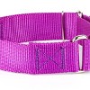 Country Brook Petz 1 1/2 Inch Martingale Heavyduty Nylon Dog Collar - 4 of 4