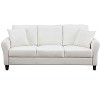 Clio Velvet Upholstered 3 Seater Sofa Couch,78 inches Long Sofas,Modern Velvet Couch 3 Seater Sofa with 2 Pillow-Maison Boucle - 4 of 4