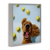 Stupell Industries Happy Smiling Pet Dog with Yellow Tennis Balls Framed Giclee Art - 2 of 4