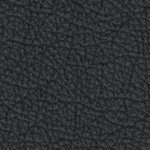 central florida golden knights