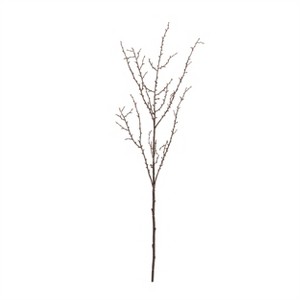 Birch Twig Branch (Set of 6) - 1 of 2