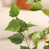 Kazeila Artificial Betula Tree in Pot, Pre Potted Faux Greenry Tree for Home Decor, Big Fake Plants - 3 of 4