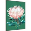 32" x 42" Single King Protea by Isabelle Z Framed Canvas Wall Art Print - Amanti Art: Large Landscape Artwork - 2 of 4
