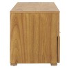 Theon 2 Drawer Media Stand - MED5015 - Safavieh - 4 of 4