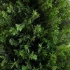 Nearly Natural 4-ft UV Resistant Artificial Cedar Tree in Decorative White Planter (Indoor/Outdoor) - 3 of 4