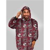 NFL South Carolina Gamecocks Adult Wearable Blanket - 2 of 2