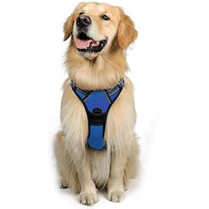 rabbitgoo Dog Harness Dog Walking Harness with - 1 of 1