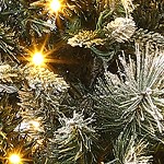 green_unlit frost-blooming cedar tree
