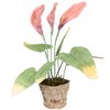 Northlight 19” Pink/Green Calla Lily Flower Artificial Spring Plant - 4 of 4