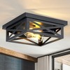 DAKAFUL 2-Light Black Farmhouse Flush Mount Ceiling Light - 2 of 4