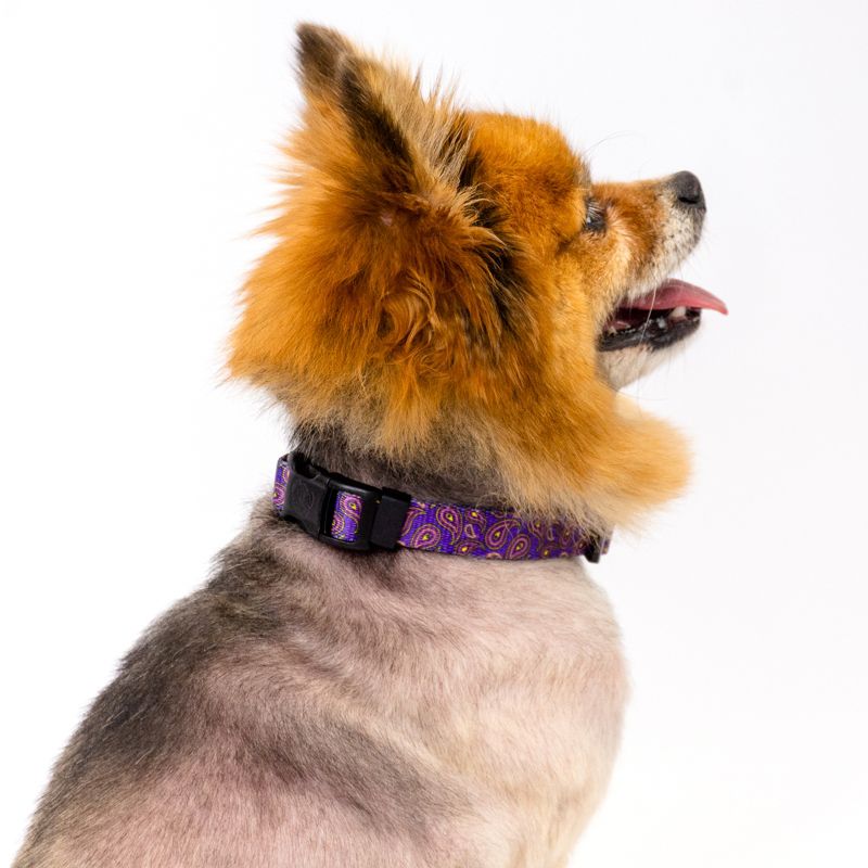 Country Brook Design Deluxe Purple Paisley Dog Collar - Made in The U.S.A., 3 of 7