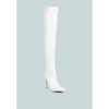 Riggle Long Patent Pu High Heel Women Boots - 3 of 4