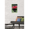 Trends International Tiger Woods - The Ball & Me Framed Wall Poster Prints - 2 of 4