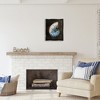 Stupell Industries Dark Nautilus Shell, 17" x 21" - 2 of 4