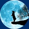 Men's Design By Humans Moon Bunny By Maryedenoa T-Shirt - 2 of 3