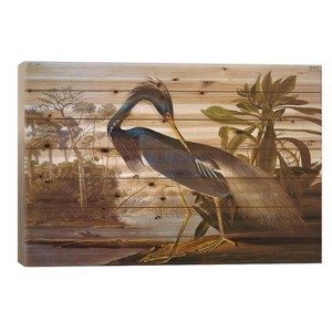 Louisiana Heron From Birds of America Wood Print by John James Audubon - iCanvas - 1 of 3