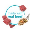 Purina Beneful Prepared Meals Chopped Blends Wet Dog Food - 10oz - 4 of 4