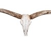 Storied Home Resin Deer Skull with Horns : Modern Wall Sculpture, Indoor White Decorative Object - 4 of 4
