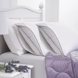 2pk Lavender Infused Cotton Pillow Protector - Allied Home