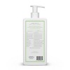 Native Vegan Cucumber & Mint Natural Volume Shampoo, Clean, Sulfate, Paraben and Silicone Free - 16.5 fl oz - 3 of 4