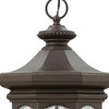 Hinkley Lighting Raley 4 - Light Pendant in  Oil Rubbed Bronze - 4 of 4
