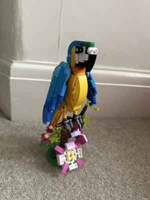 253 pieces, LEGO Creator 3 in 1 Exotic Parrot to Frog to Fish