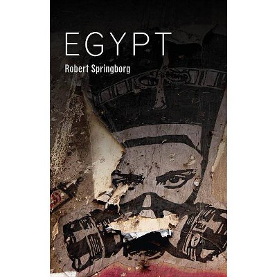 Egypt - (Hot Spots in Global Politics) by  Robert Springborg (Paperback)