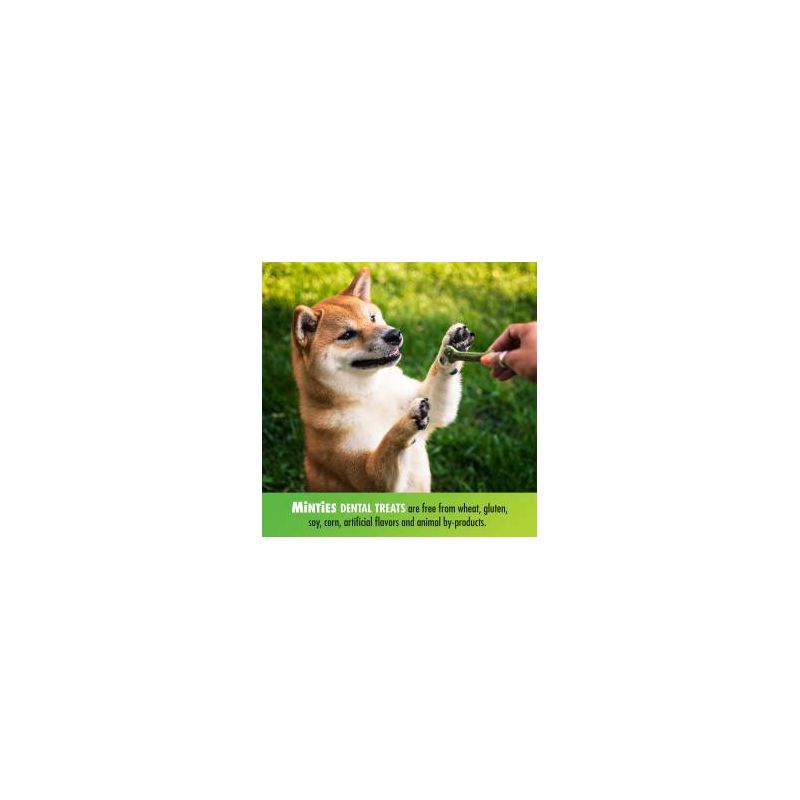 VetIQ Minties - Dental in Peppermint Flavor Dog Treat - Medium/Large, 4 of 11