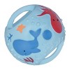 Tikiri Multi-Sensory Grabbing Balls - Set of 2 - 3 of 3