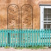 MAYEERTY 2 Pack Metal Garden Trellis 71 x 19.7 Inch Rustproof Climbing Plants Support Black Outdoor Flower - 2 of 4