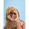 BetterBone Medium Density Beef Dog Bone Toy - S - image 3 of 4