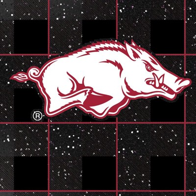 arkansas razorbacks