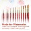 Princeton Heritage Round Brush, Synthetic Bristles, Short Handle Watercolor Paintbrush, Scarlet, Size 12, 1 Count - 2 of 4