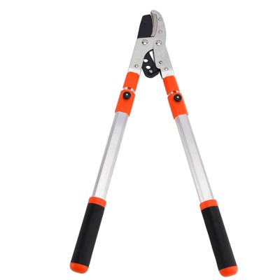 Topteng Loppers for Tree Trimming: High-Carbon Steel, with Extendable Handle