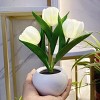 Tulip Night Light, LED Simulation Tulip Night Light Bouquet 3 Heads with Ceramic Vase Bedroom Bedside Lamp for Home Living Room Desktop Decor - 3 of 4