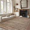 Modern Farmhouse Area Rugs Machine Washable Printed Braid Accent Carpet with Non-Slip Backing Stain Resistant Floor Carpet Soft Low Pile Rugs - 3 of 4