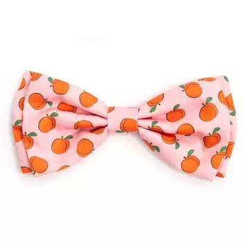 The Worthy Dog Pineapples Bow Tie Accessory - Pink - S : Target